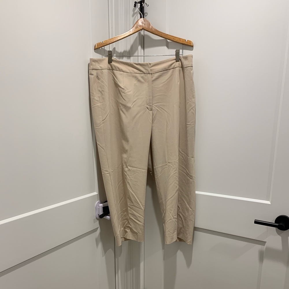 Almost  new! Beautiful designer pants